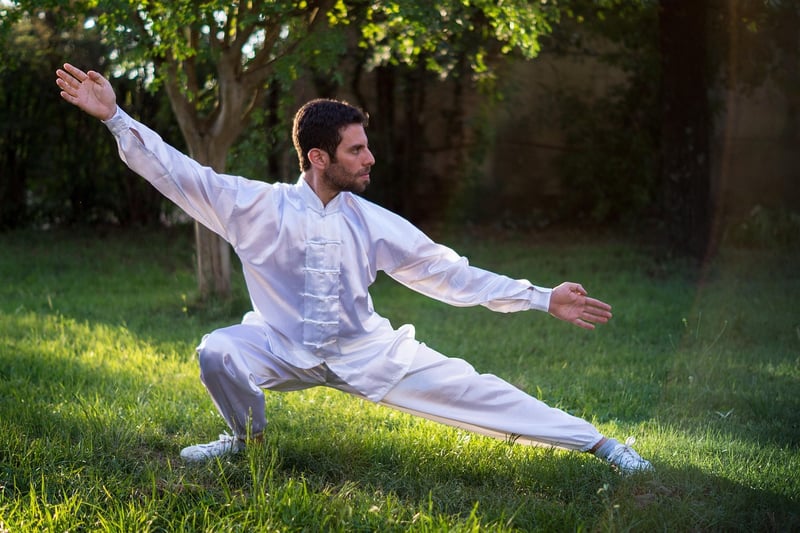 Flowing Martial Arts